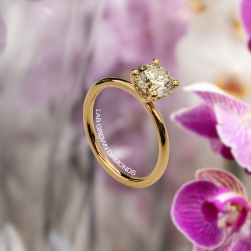 JUNGLE ORCHID HIDDEN HALO - Solitaire Ring, Verlobungsring, Engagementring