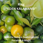 Engagement Ring, Verlobungsring, Solitaire Ring Eden Kalamansi