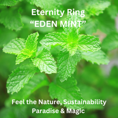 EDEN MINT Shared bead bright settings Eternity Ring Alliance Ring
